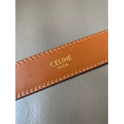 Celine Medium Cuir Triomphe Belt 25MM in Brown Calfskin CCBS24134