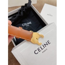 Celine Medium Triomphe Belt 25MM in Brown Calfskin CCBS24138