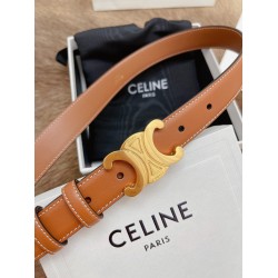 Celine Medium Triomphe Belt 25MM in Brown Calfskin CCBS24138