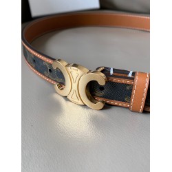 Celine Medium Triomphe Belt 25MM in Tan Triomphe Canvas CCBS24140